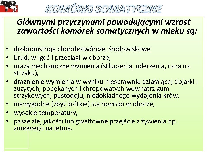 KOMÓRKI SOMATYCZNE Głównymi przyczynami powodującymi wzrost zawartości komórek somatycznych w mleku są: • drobnoustroje