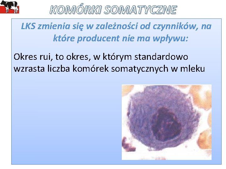 KOMÓRKI SOMATYCZNE LKS zmienia się w zależności od czynników, na które producent nie ma