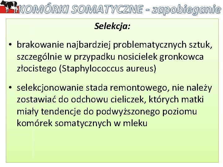 KOMÓRKI SOMATYCZNE - zapobieganie Selekcja: • brakowanie najbardziej problematycznych sztuk, szczególnie w przypadku nosicielek