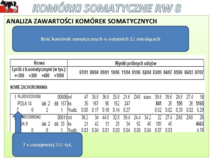 KOMÓRKI SOMATYCZNE RW 8 ANALIZA ZAWARTOŚCI KOMÓREK SOMATYCZNYCH Ilość komórek somatycznych w ostatnich 12