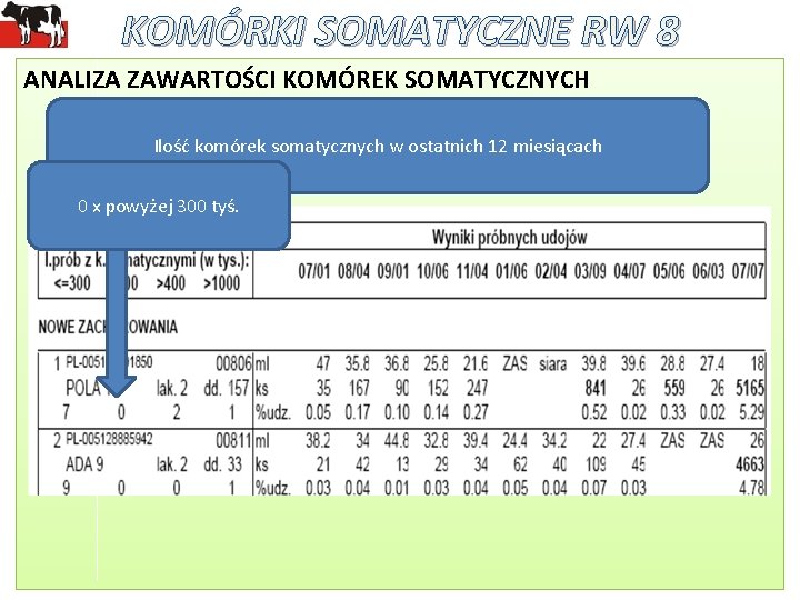 KOMÓRKI SOMATYCZNE RW 8 ANALIZA ZAWARTOŚCI KOMÓREK SOMATYCZNYCH Ilość komórek somatycznych w ostatnich 12