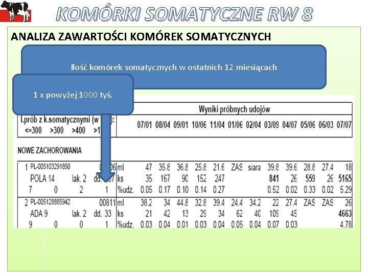 KOMÓRKI SOMATYCZNE RW 8 ANALIZA ZAWARTOŚCI KOMÓREK SOMATYCZNYCH Ilość komórek somatycznych w ostatnich 12