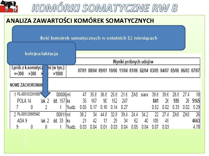 KOMÓRKI SOMATYCZNE RW 8 ANALIZA ZAWARTOŚCI KOMÓREK SOMATYCZNYCH Ilość komórek somatycznych w ostatnich 12