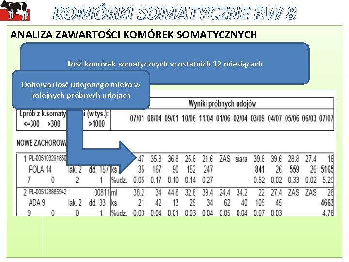 KOMÓRKI SOMATYCZNE RW 8 ANALIZA ZAWARTOŚCI KOMÓREK SOMATYCZNYCH Ilość komórek somatycznych w ostatnich 12