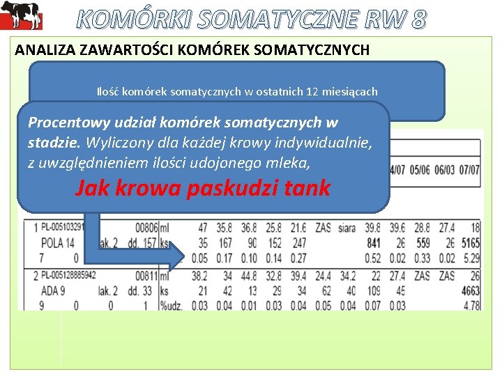 KOMÓRKI SOMATYCZNE RW 8 ANALIZA ZAWARTOŚCI KOMÓREK SOMATYCZNYCH Ilość komórek somatycznych w ostatnich 12