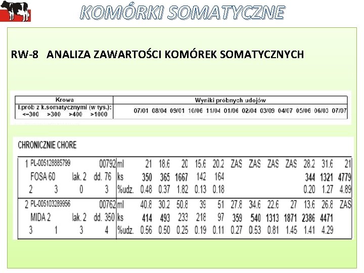 KOMÓRKI SOMATYCZNE RW-8 ANALIZA ZAWARTOŚCI KOMÓREK SOMATYCZNYCH 