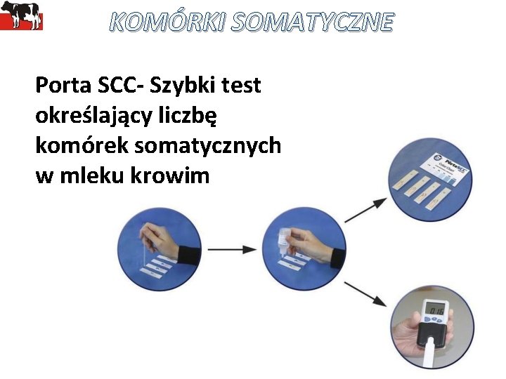 KOMÓRKI SOMATYCZNE Porta SCC- Szybki test określający liczbę komórek somatycznych w mleku krowim 