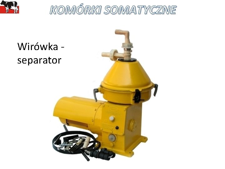 KOMÓRKI SOMATYCZNE Wirówka separator 