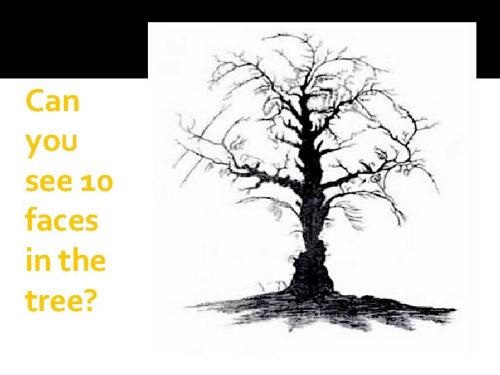 Can you see 10 faces in the tree? Can you see 10 faces in the tree?