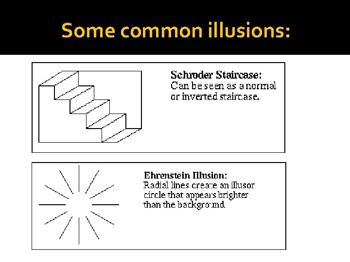 Some common illusions: Some common illusions: