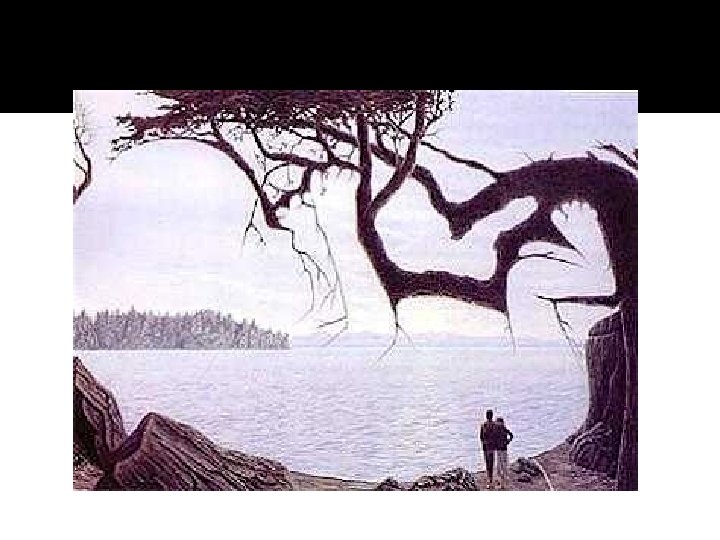 What do you see? What do you see?