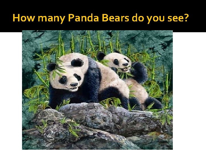 How many Panda Bears do you see? How many Panda Bears do you see?