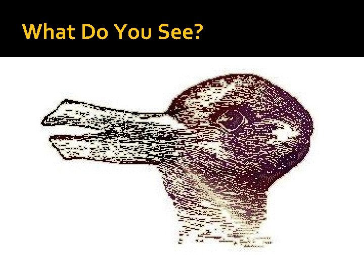 What Do You See? What Do You See?