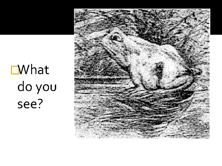 �What do you see? �What do you see?