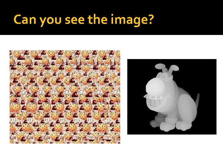 Can you see the image? Can you see the image?
