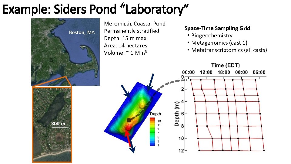 Example: Siders Pond “Laboratory” Boston, MA 300 m Meromictic Coastal Pond Permanently stratified Depth: