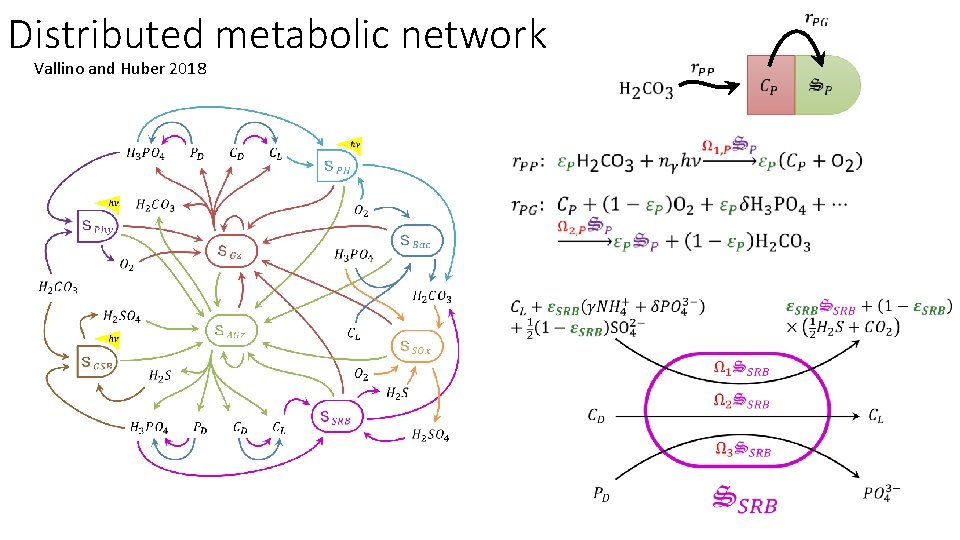 Distributed metabolic network Vallino and Huber 2018 