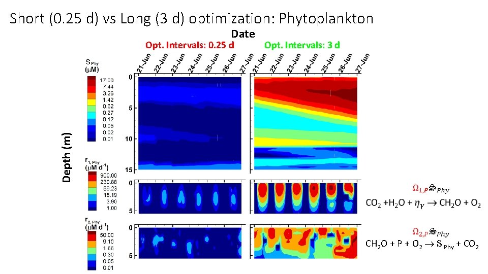 Short (0. 25 d) vs Long (3 d) optimization: Phytoplankton Date Opt. Intervals: 3