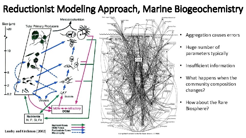 Reductionist Modeling Approach, Marine Biogeochemistry • Aggregation causes errors • Huge number of parameters