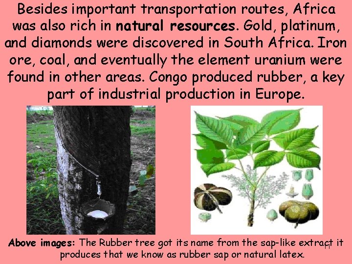 Besides important transportation routes, Africa was also rich in natural resources. Gold, platinum, and