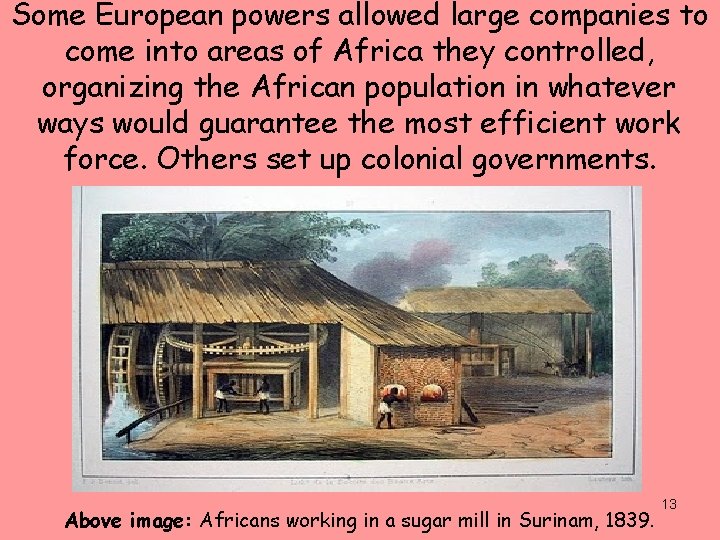 Some European powers allowed large companies to come into areas of Africa they controlled,