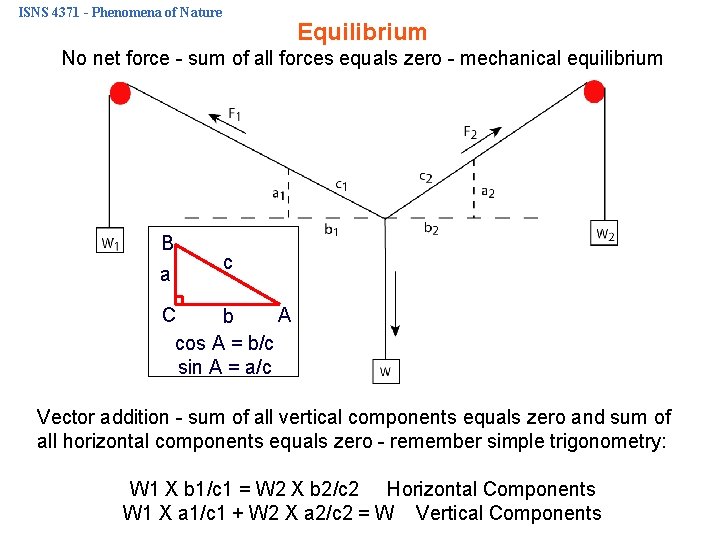 ISNS 4371 - Phenomena of Nature Equilibrium No net force - sum of all