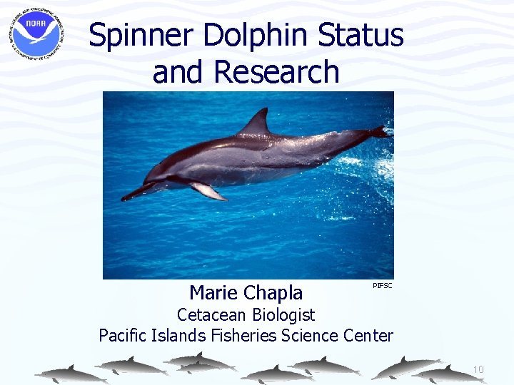 Spinner Dolphin Status and Research Marie Chapla PIFSC Cetacean Biologist Pacific Islands Fisheries Science