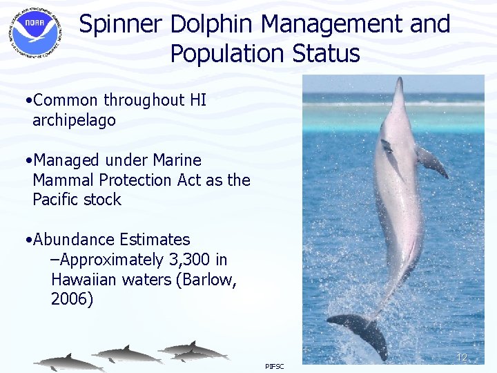 Spinner Dolphin Management and Population Status • Common throughout HI archipelago • Managed under