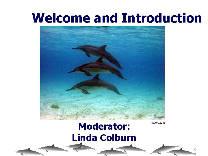 Welcome and Introduction Moderator: Linda Colburn NOAA 2006 3 