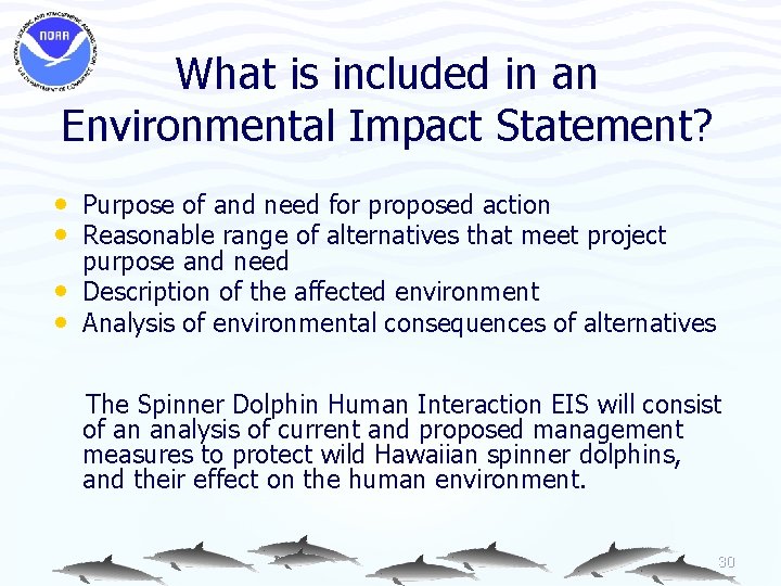What is included in an Environmental Impact Statement? • Purpose of and need for