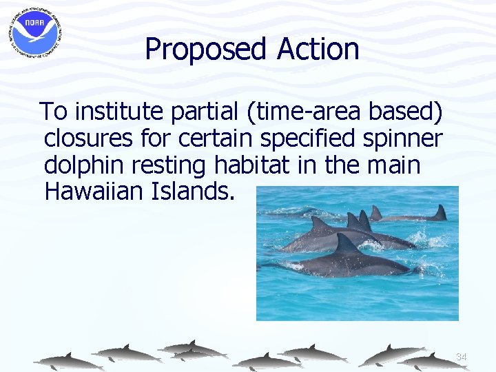 Proposed Action To institute partial (time area based) closures for certain specified spinner dolphin