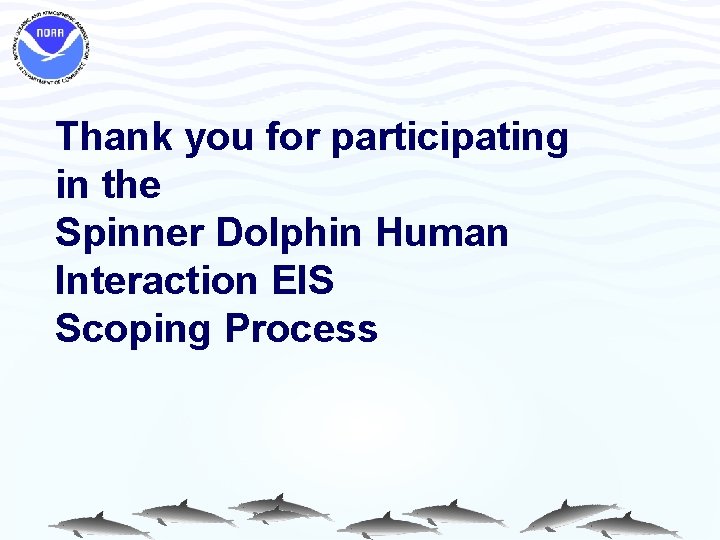Thank you for participating in the Spinner Dolphin Human Interaction EIS Scoping Process 