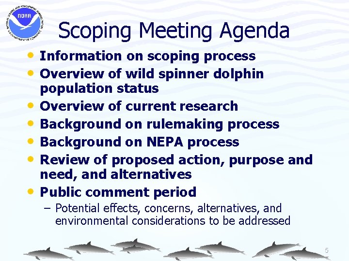 Scoping Meeting Agenda • Information on scoping process • Overview of wild spinner dolphin