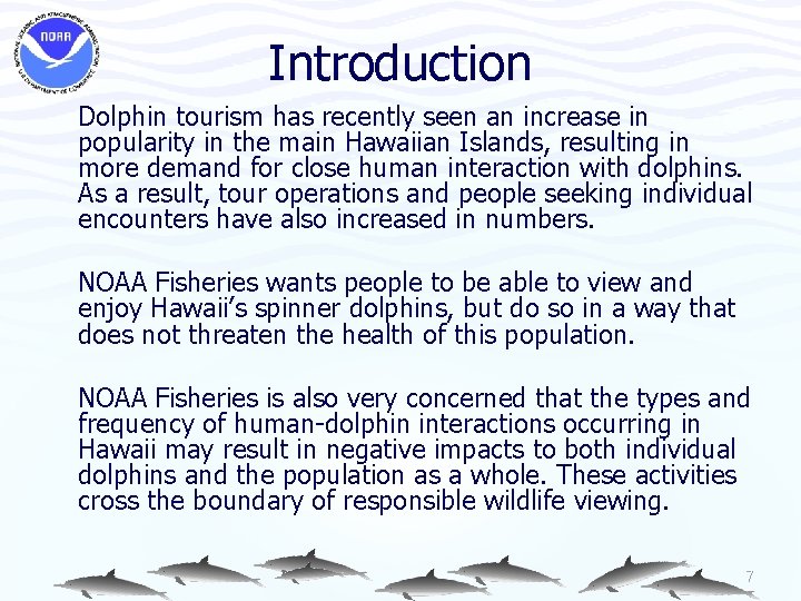 Introduction Dolphin tourism has recently seen an increase in popularity in the main Hawaiian