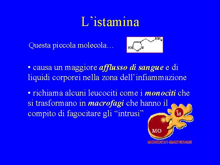 L’istamina Questa piccola molecola… • causa un maggiore afflusso di sangue e di liquidi