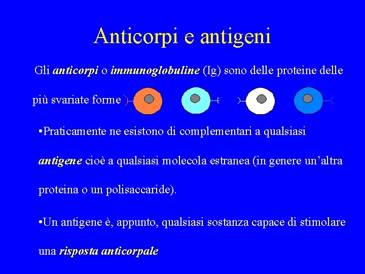 Anticorpi e antigeni Gli anticorpi o immunoglobuline (Ig) sono delle proteine delle più svariate