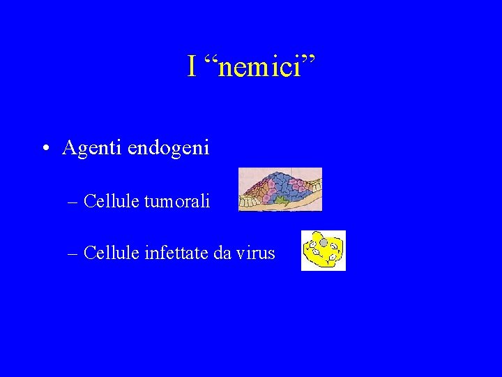 I “nemici” • Agenti endogeni – Cellule tumorali – Cellule infettate da virus 