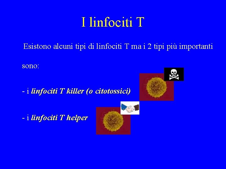 I linfociti T Esistono alcuni tipi di linfociti T ma i 2 tipi più