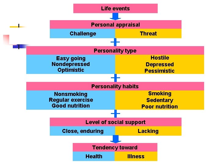 Life events Personal appraisal Challenge Threat Personality type Hostile Depressed Pessimistic Easy going Nondepressed