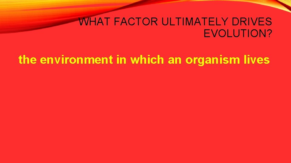 WHAT FACTOR ULTIMATELY DRIVES EVOLUTION? the environment in which an organism lives 