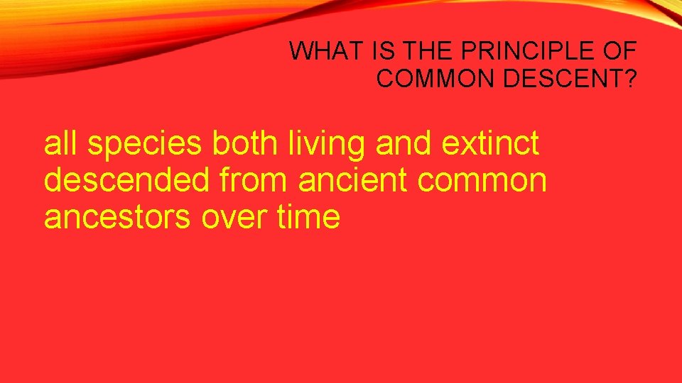 WHAT IS THE PRINCIPLE OF COMMON DESCENT? all species both living and extinct descended