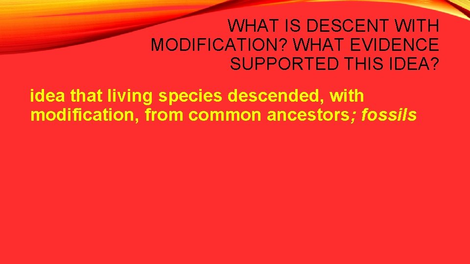 WHAT IS DESCENT WITH MODIFICATION? WHAT EVIDENCE SUPPORTED THIS IDEA? idea that living species