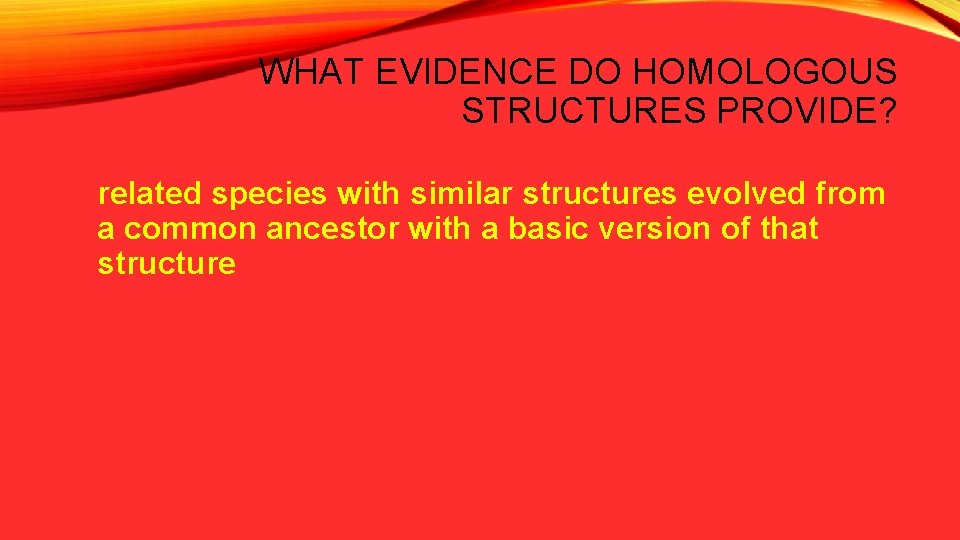 WHAT EVIDENCE DO HOMOLOGOUS STRUCTURES PROVIDE? related species with similar structures evolved from a