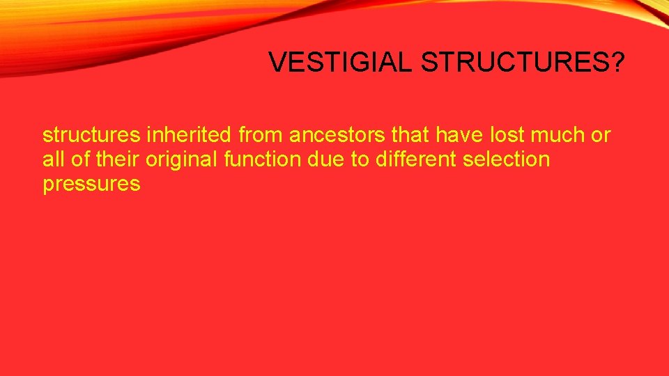 VESTIGIAL STRUCTURES? structures inherited from ancestors that have lost much or all of their