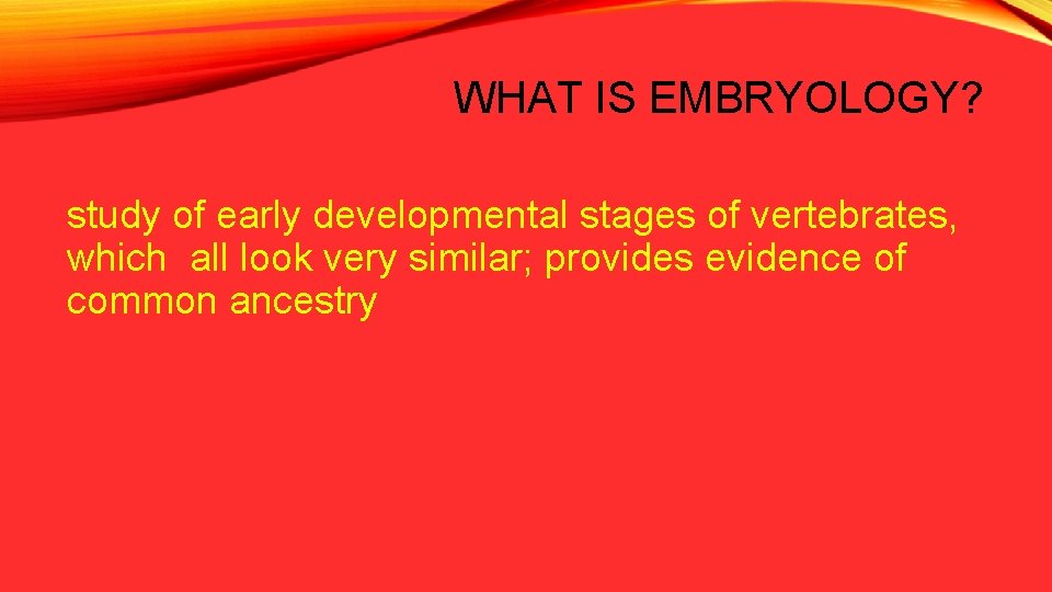 WHAT IS EMBRYOLOGY? study of early developmental stages of vertebrates, which all look very