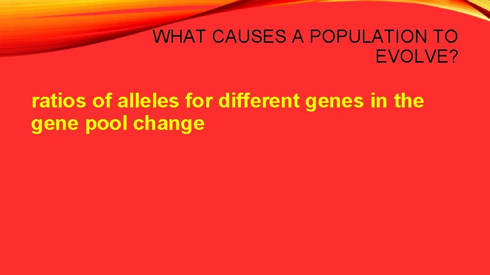 WHAT CAUSES A POPULATION TO EVOLVE? ratios of alleles for different genes in the
