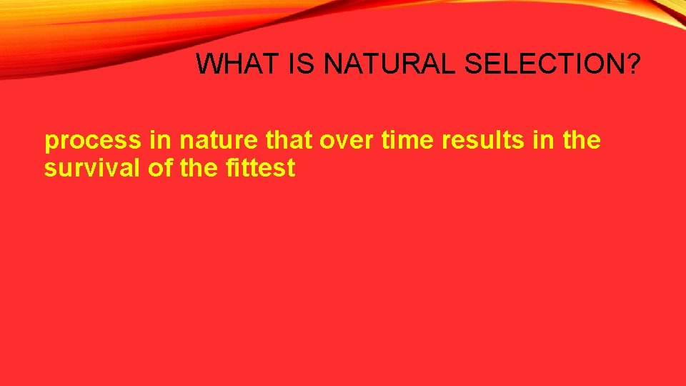 WHAT IS NATURAL SELECTION? process in nature that over time results in the survival