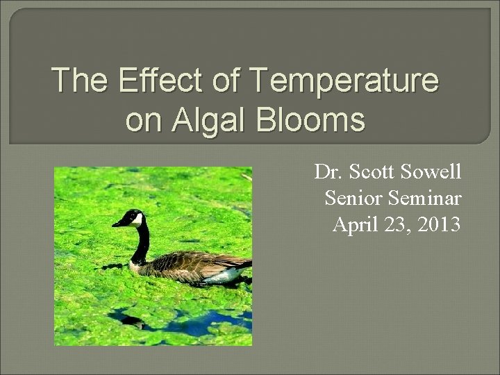 The Effect of Temperature on Algal Blooms Dr. Scott Sowell Senior Seminar April 23,