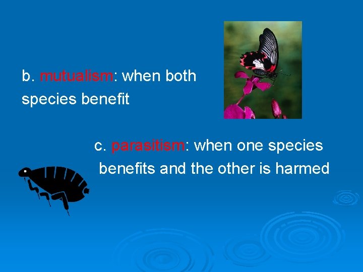 b. mutualism: when both species benefit c. parasitism: when one species benefits and the