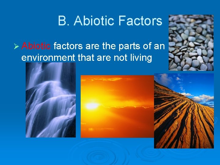 B. Abiotic Factors Ø Abiotic factors are the parts of an environment that are